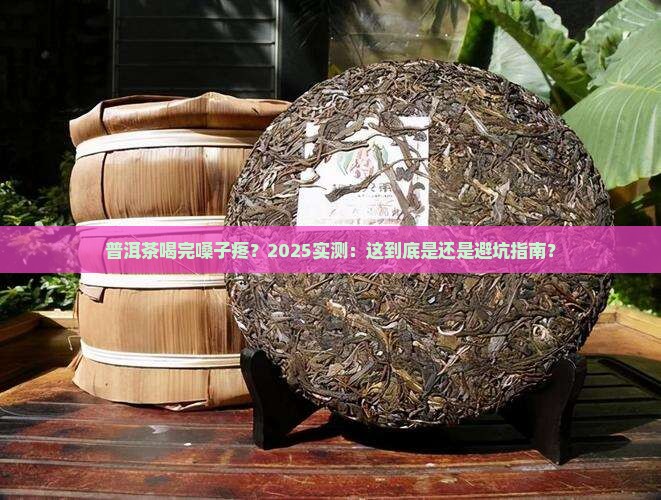 普洱茶喝了嗓子会痛吗