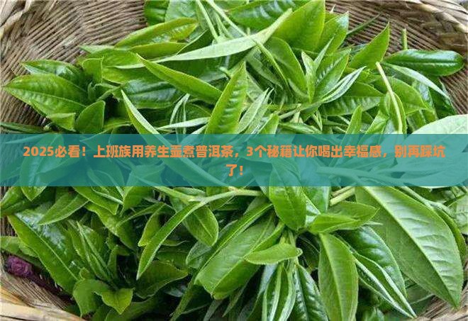 普洱茶用养生壶怎么煮好喝 普洱茶用养生壶怎么煮好喝