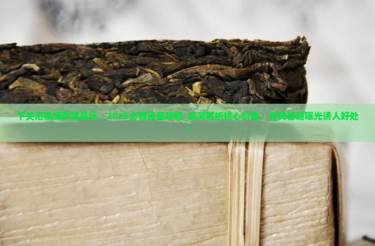 下关沱茶绿酽缘品评