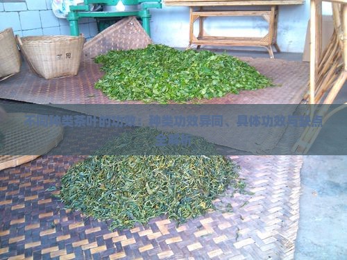 不同种类茶叶的功效