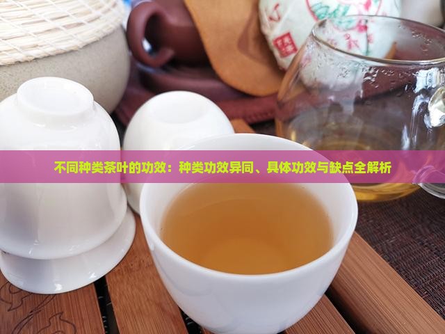 不同种类茶叶的功效