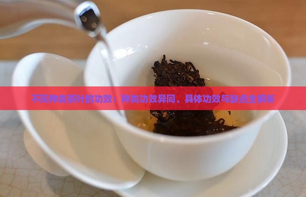 不同种类茶叶的功效