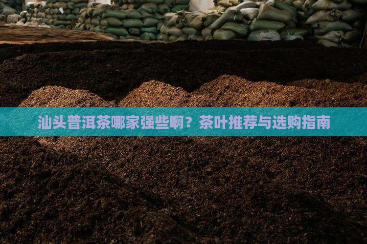 汕头普洱茶哪家强些啊