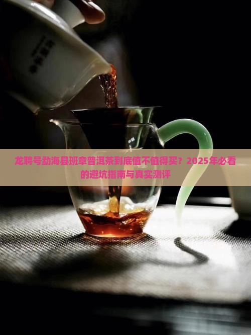 龙聘号勐海县班章普洱茶