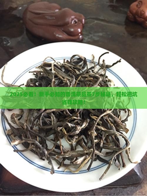 普洱茶品茶的7个步骤