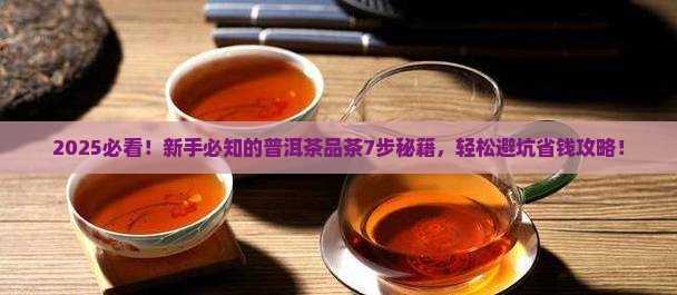 普洱茶品茶的7个步骤