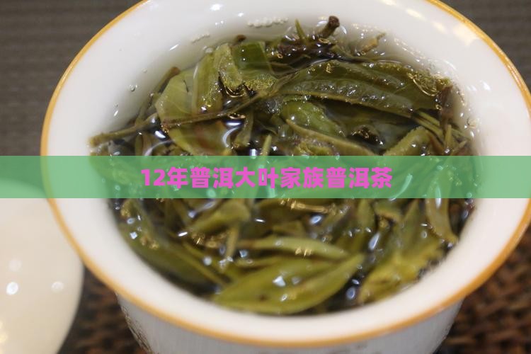 12年普洱茶大叶之家族