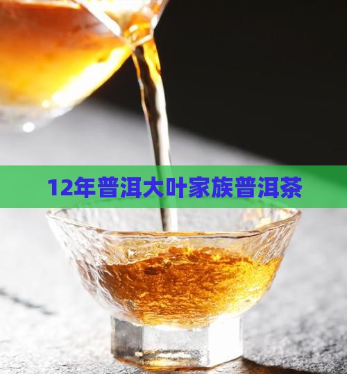 12年普洱茶大叶之家族