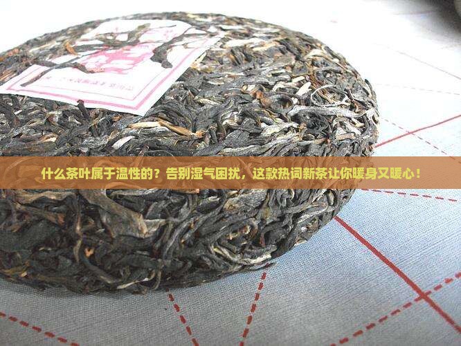 什么茶叶属于温性的