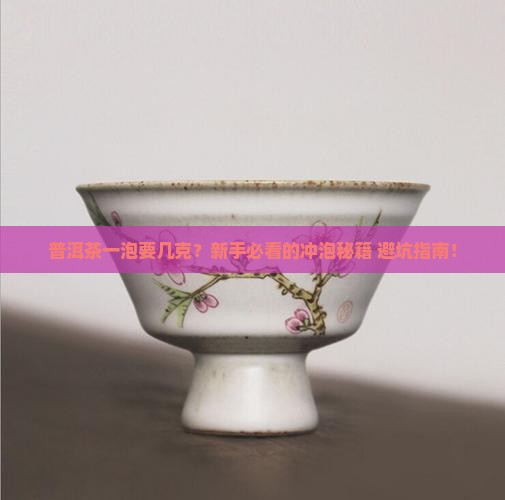 普洱茶冲泡是几克