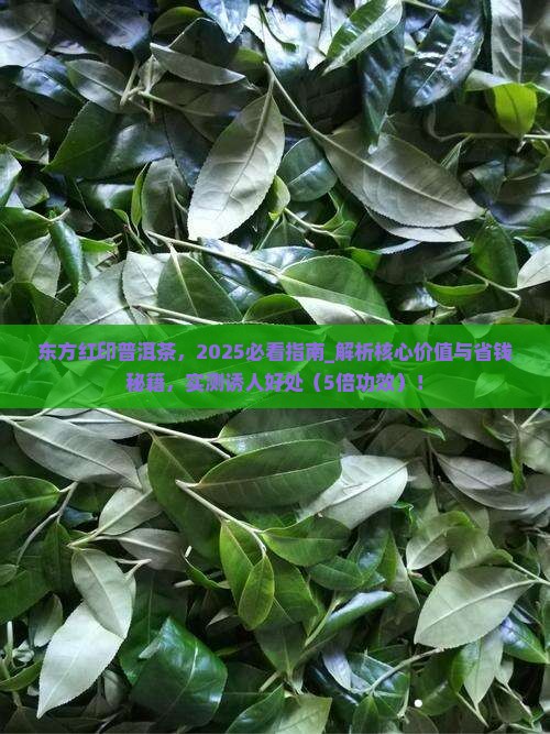 东方红印普洱茶