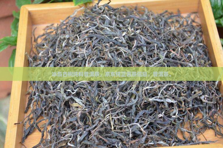最纯正的冰岛古树茶