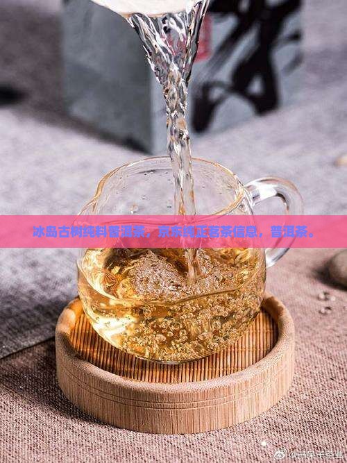 最纯正的冰岛古树茶