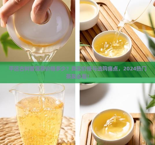 平远古树普洱茶价格多少