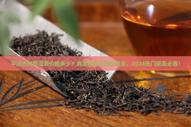 平远古树普洱茶价格多少
