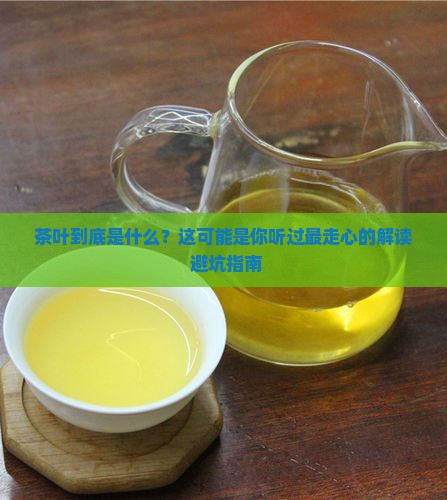 茶叶的意思起个外号
