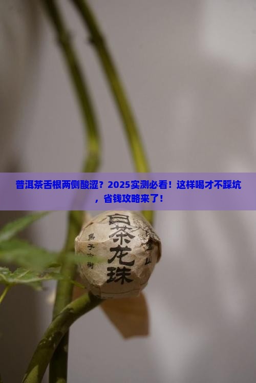 普洱茶舌根两侧酸涩