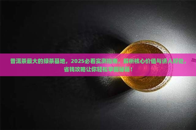 普洱茶最大的绿茶基地