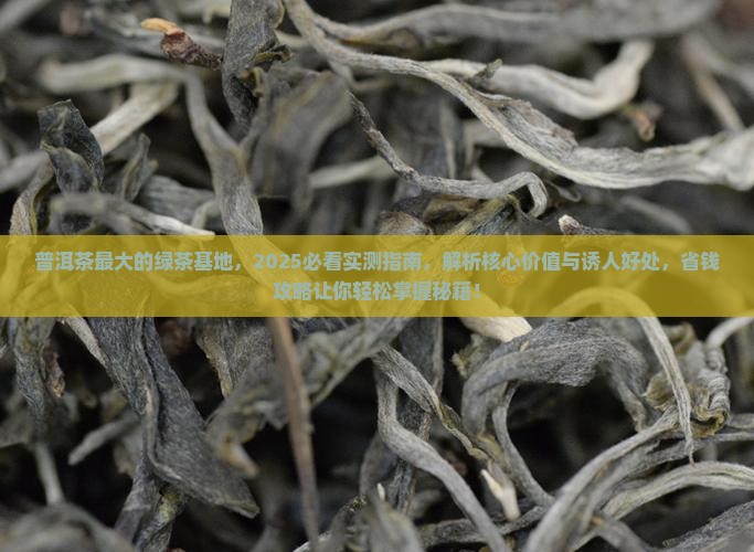 普洱茶最大的绿茶基地