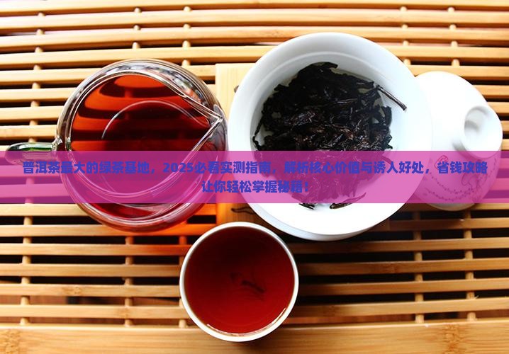 普洱茶最大的绿茶基地