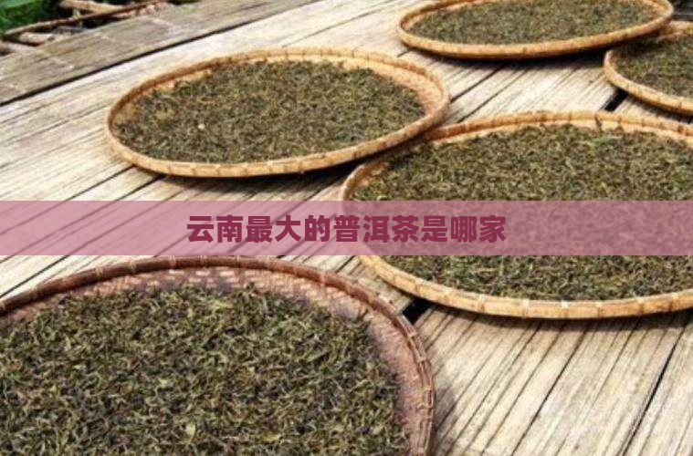 云南最大的普洱茶是哪家