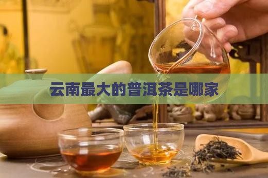云南最大的普洱茶是哪家