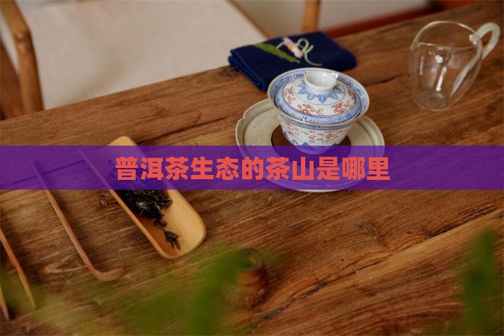 普洱茶生态最好的山头是哪里