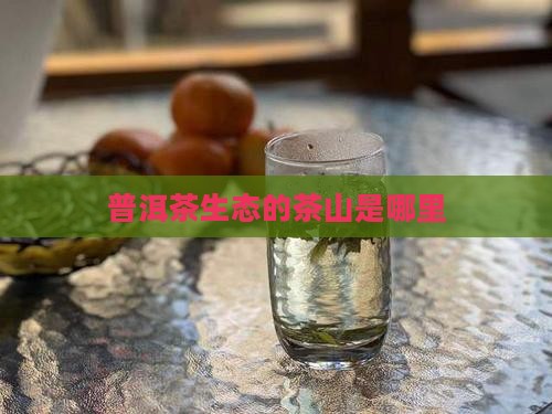 普洱茶生态最好的山头是哪里