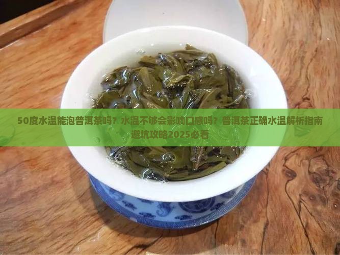 50度水温能泡普洱茶吗
