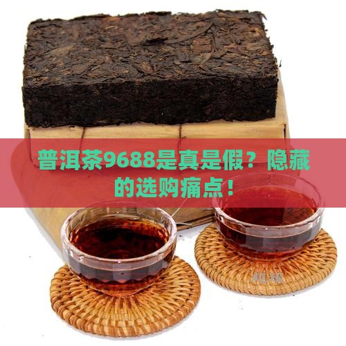 普洱茶9688