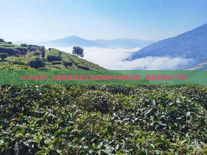 大益茶普洱茶礼品盒查询