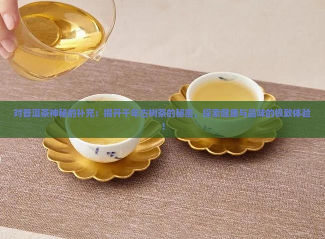 对普洱茶神秘的补充