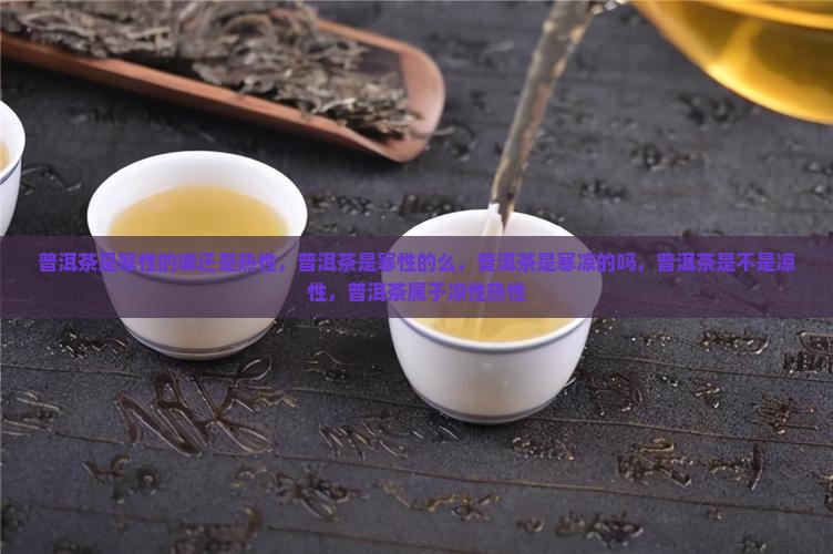 普洱茶是寒性的嘛