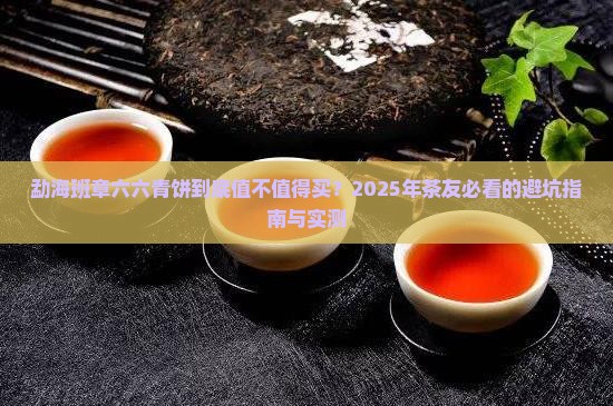勐海班章六六青饼