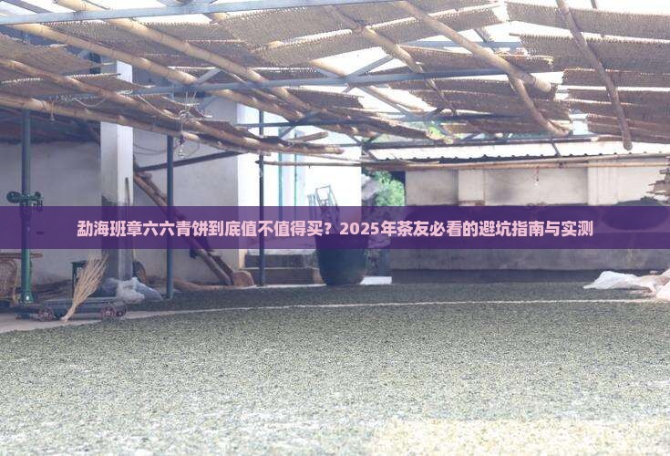勐海班章六六青饼
