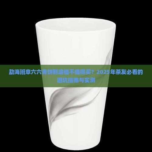 勐海班章六六青饼