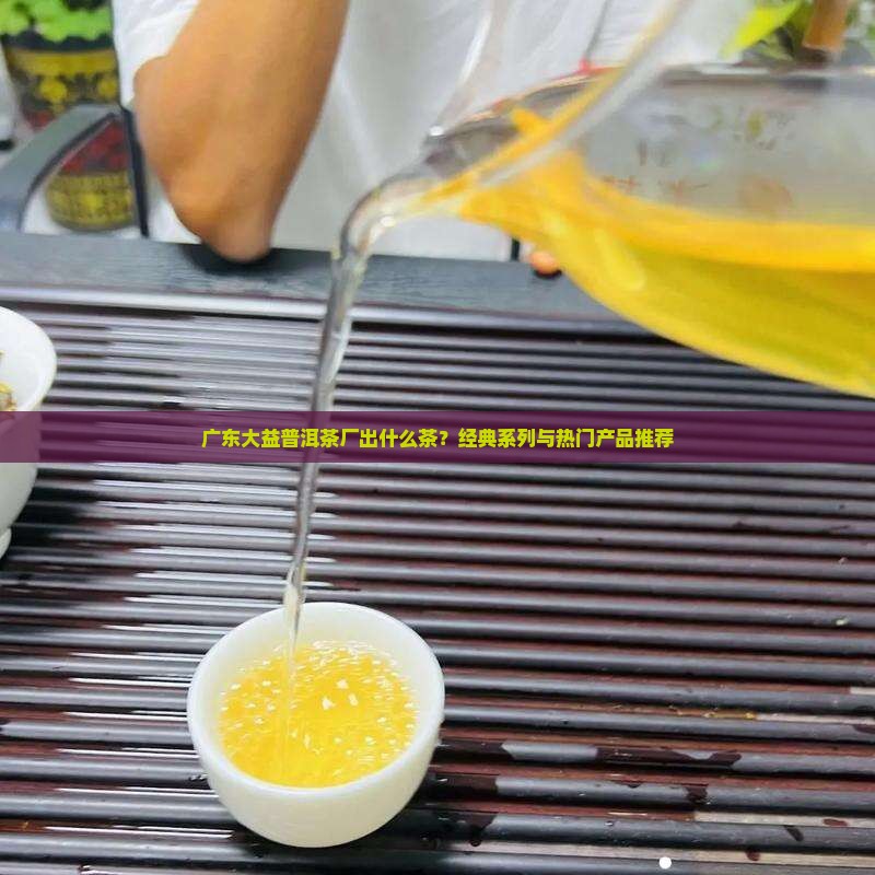 广东大益普洱茶厂出什么茶