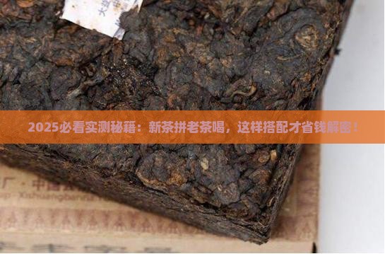 普洱茶新茶拼老茶喝