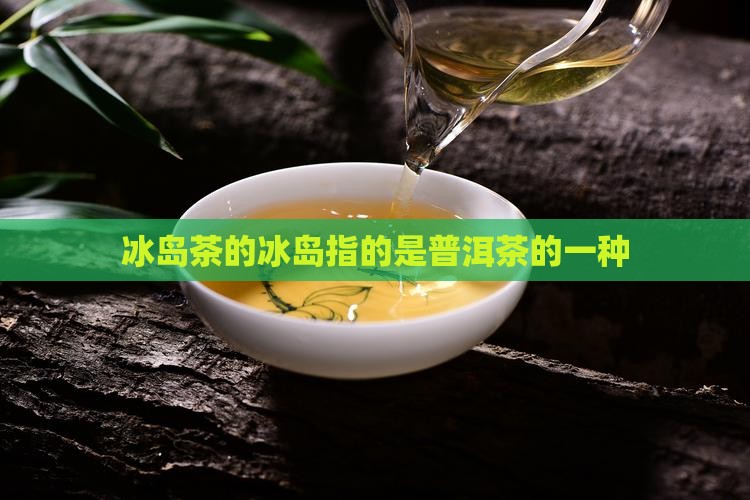 冰岛茶的冰岛指的是