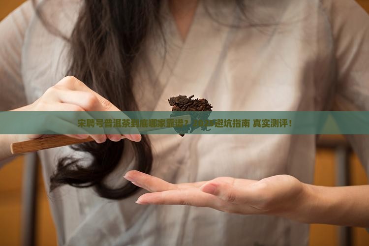 宋聘号普洱茶哪个公司