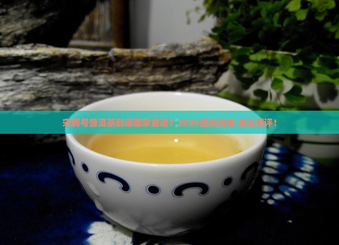 宋聘号普洱茶哪个公司