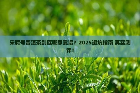宋聘号普洱茶哪个公司