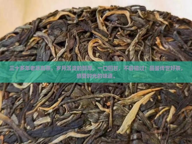 三十多年老冰岛茶
