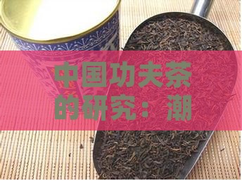 中国功夫茶的研究