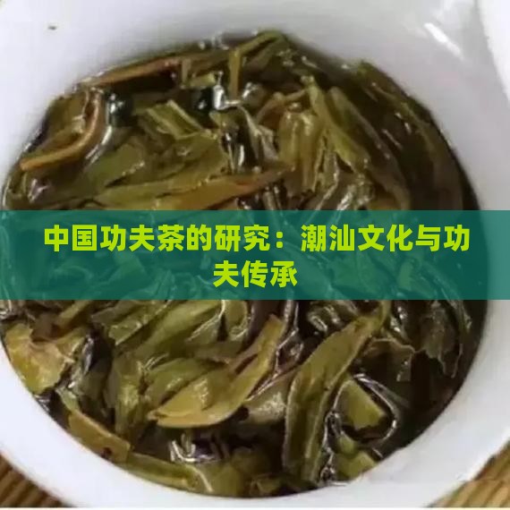中国功夫茶的研究