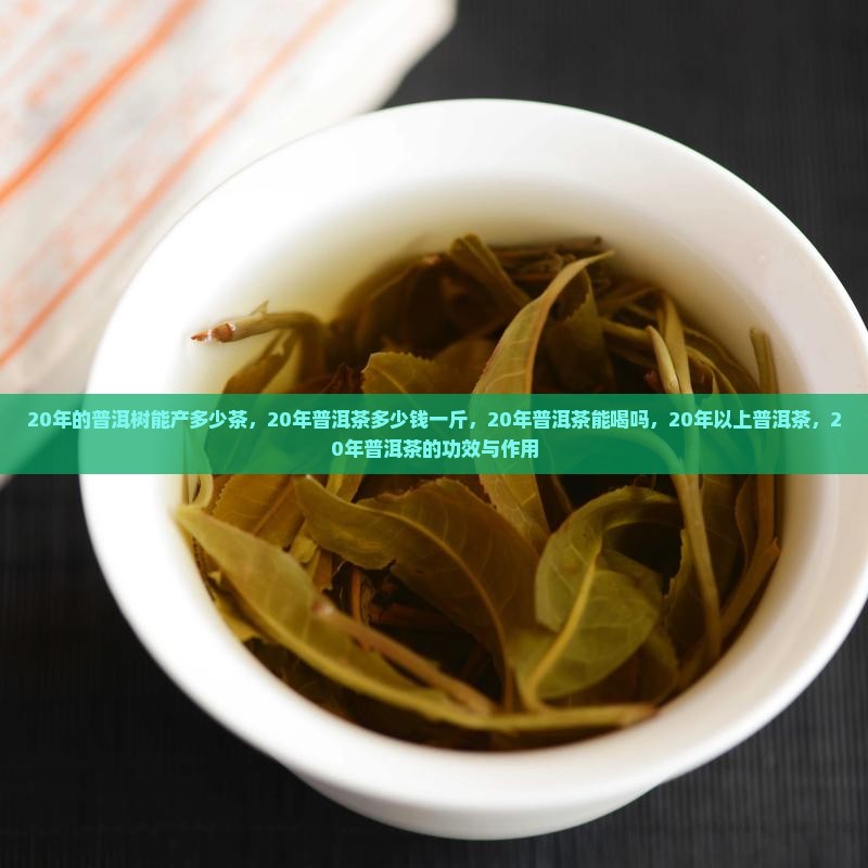 20年的普洱树能产多少茶