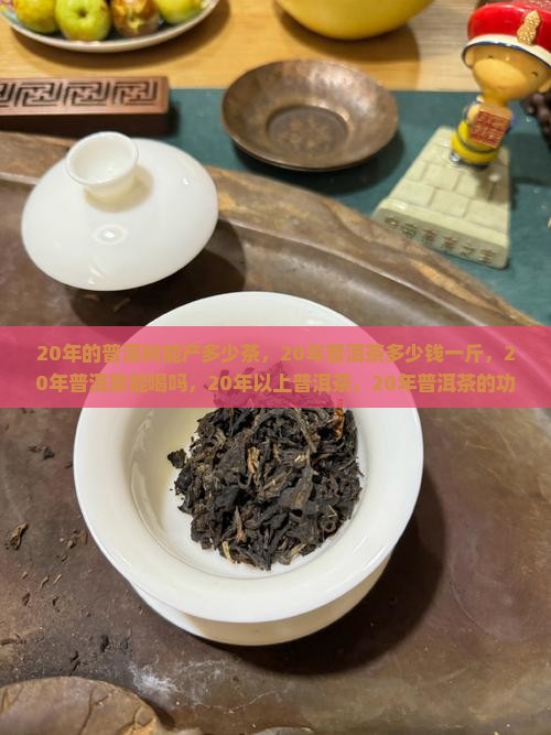 20年的普洱树能产多少茶
