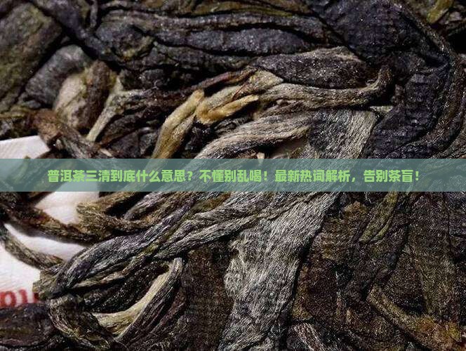 普洱茶三清什么意思