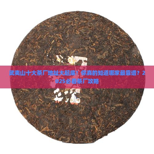 武夷山十大茶厂地址