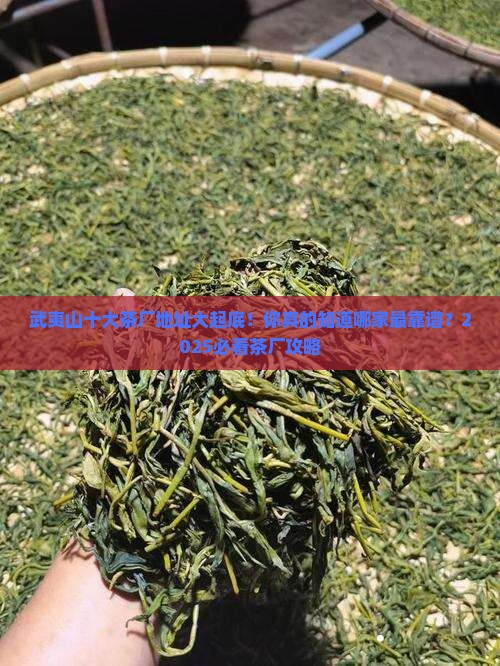 武夷山十大茶厂地址